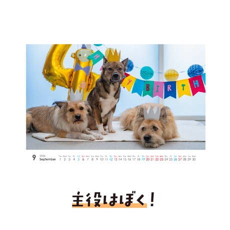 卓上カレンダー2026（特典ポストカード付）【ポテとひだりとチャーリー】