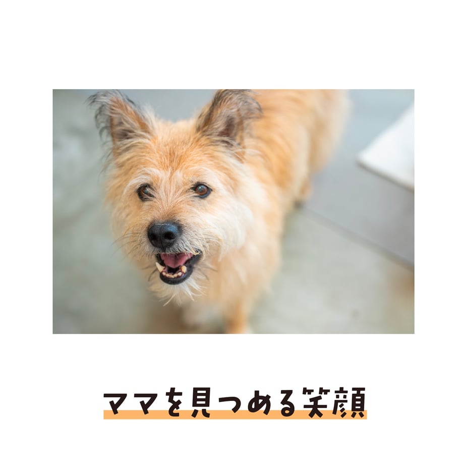 690c50a09cdd85dd9bcbe36a