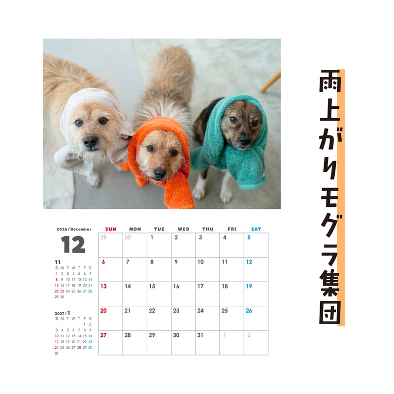 壁掛けカレンダー2026（特典ポストカード付）【ポテとひだりと