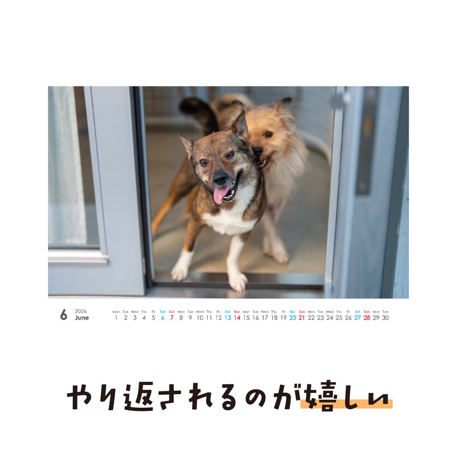 690c50a09cdd85dd9bcbe36a
