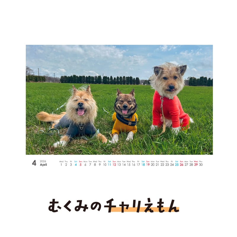 卓上カレンダー2026（特典ポストカード付）【ポテとひだりとチャーリー