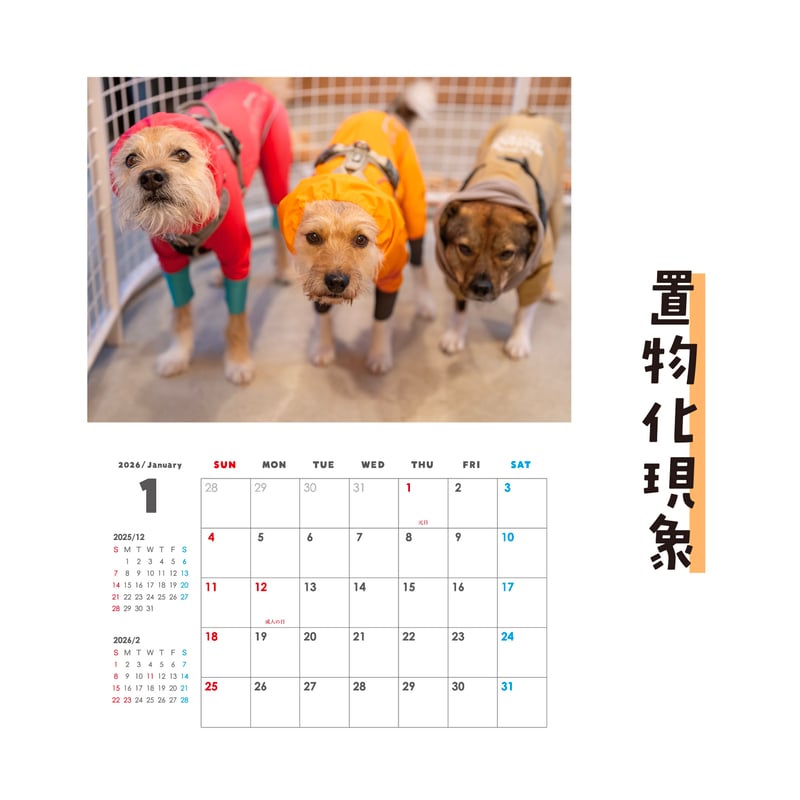 セット】壁掛けと卓上カレンダーのセット2026(特典ポストカード付