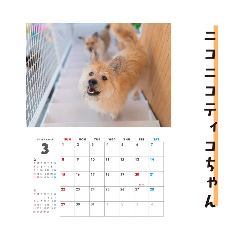 セット】壁掛けと卓上カレンダーのセット2026(特典ポストカード付