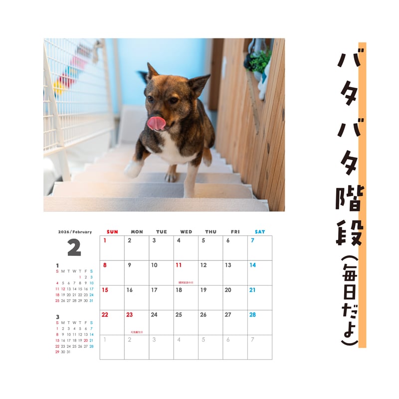セット】壁掛けと卓上カレンダーのセット2026(特典ポストカード付