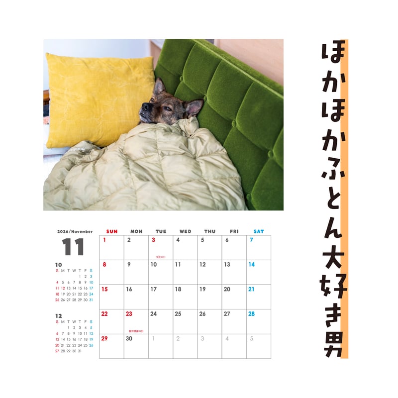 壁掛けカレンダー2026（特典ポストカード付）【ポテとひだりと