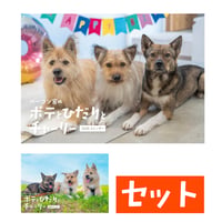 【セット】壁掛けと卓上カレンダーのセット2026(特典ポストカード付)