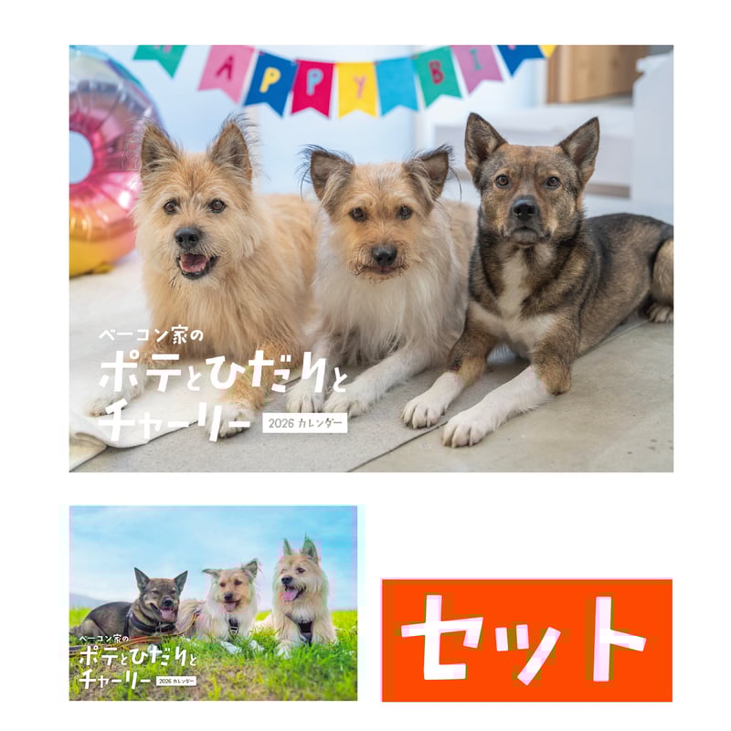セット】壁掛けと卓上カレンダーのセット2026(特典ポストカード付
