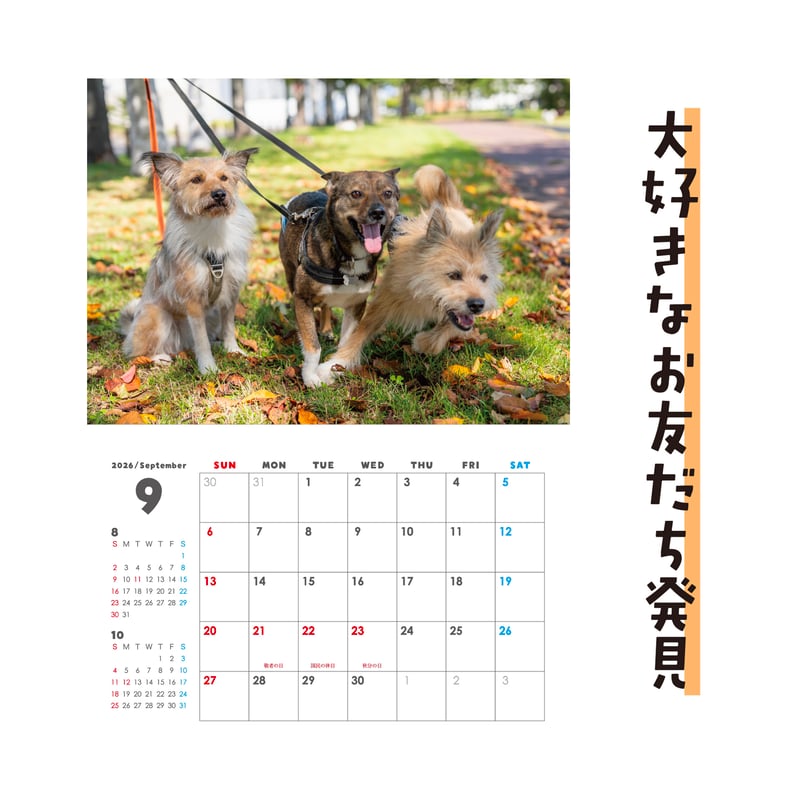 セット】壁掛けと卓上カレンダーのセット2026(特典ポストカード付