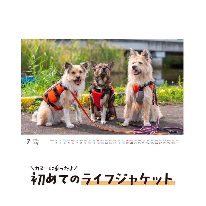 卓上カレンダー2026（特典ポストカード付）【ポテとひだりとチャーリー