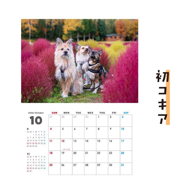 壁掛けカレンダー2026（特典ポストカード付）【ポテとひだりと