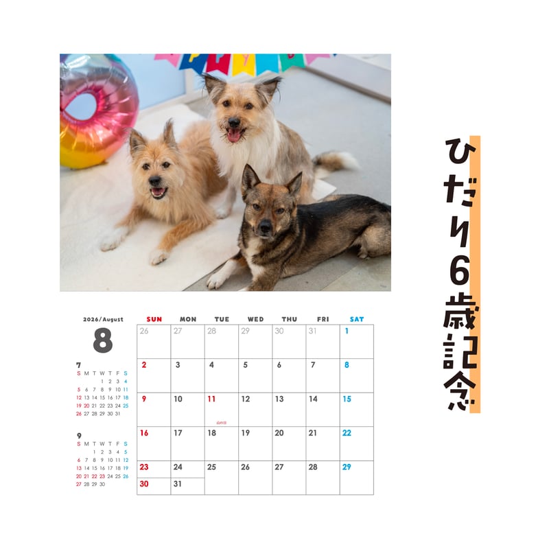セット】壁掛けと卓上カレンダーのセット2026(特典ポストカード付