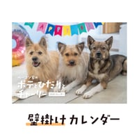 壁掛けカレンダー2026（特典ポストカード付）【ポテとひだりとチャーリー】