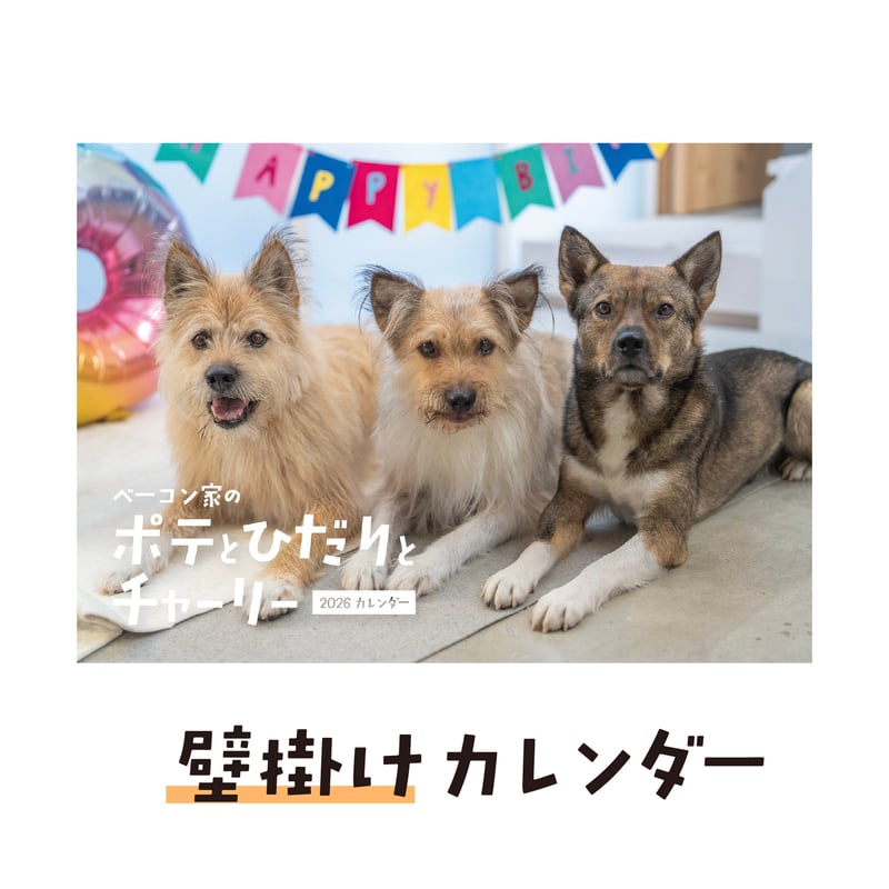 壁掛けカレンダー2026（特典ポストカード付）【ポテとひだりと
