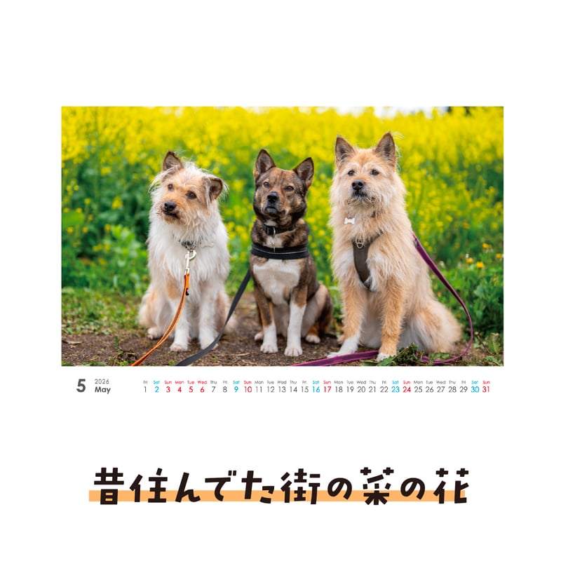 卓上カレンダー2026（特典ポストカード付）【ポテとひだりとチャーリー