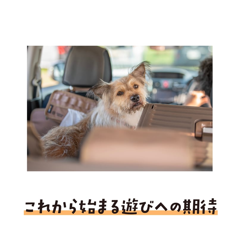 卓上カレンダー2026（特典ポストカード付）【ポテとひだりとチャーリー