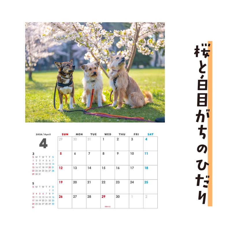 壁掛けカレンダー2026（特典ポストカード付）【ポテとひだりと