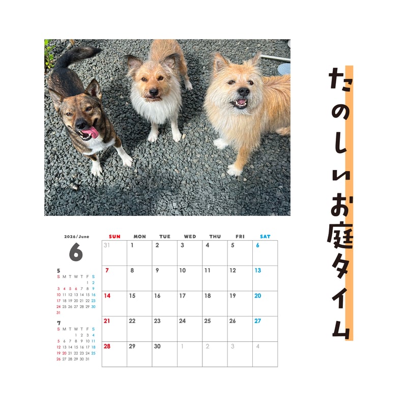 セット】壁掛けと卓上カレンダーのセット2026(特典ポストカード付