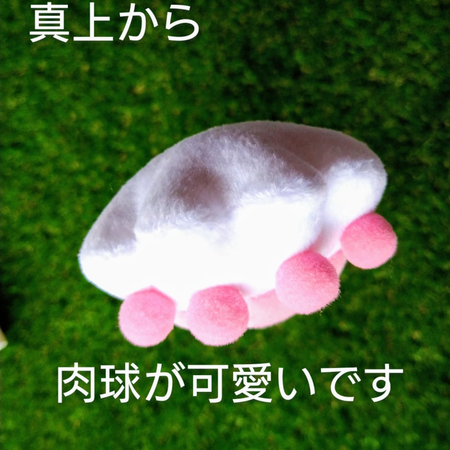 62f67373d8893714382a1555