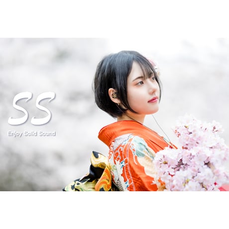 2024年 春デザインオプション 絢桜&やぶれかぶれ