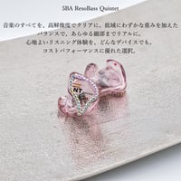 オーダーメイド　カスタムIEM　イヤホン　5BA ResoBass Quintet