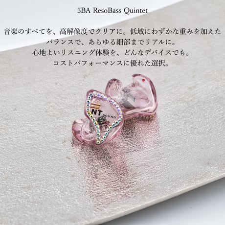 オーダーメイド　カスタムIEM　イヤホン　5BA ResoBass Quintet