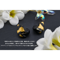カスタムiem カスタムイヤホン 1BA listening type カスタムiem カスタムイヤホン 1BA listening type | NEWTON STORE
