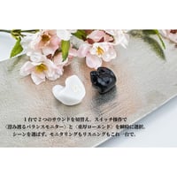 カスタムiem カスタムイヤホン 1BA listening type | NEWTON STORE