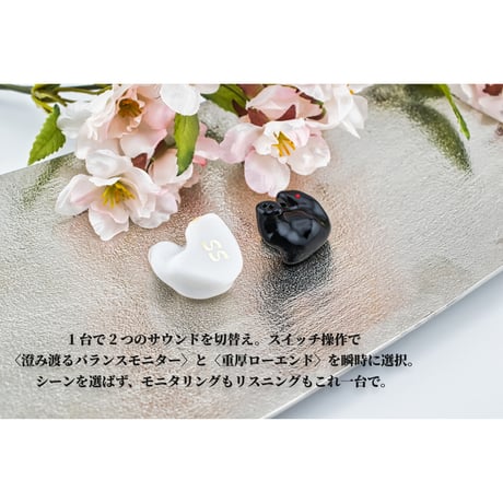 オーダーメイド　カスタムiem　双律 – SORITSU