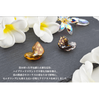 カスタムiem カスタムイヤホン 1BA listening type カスタムiem カスタムイヤホン 1BA listening type | NEWTON STORE