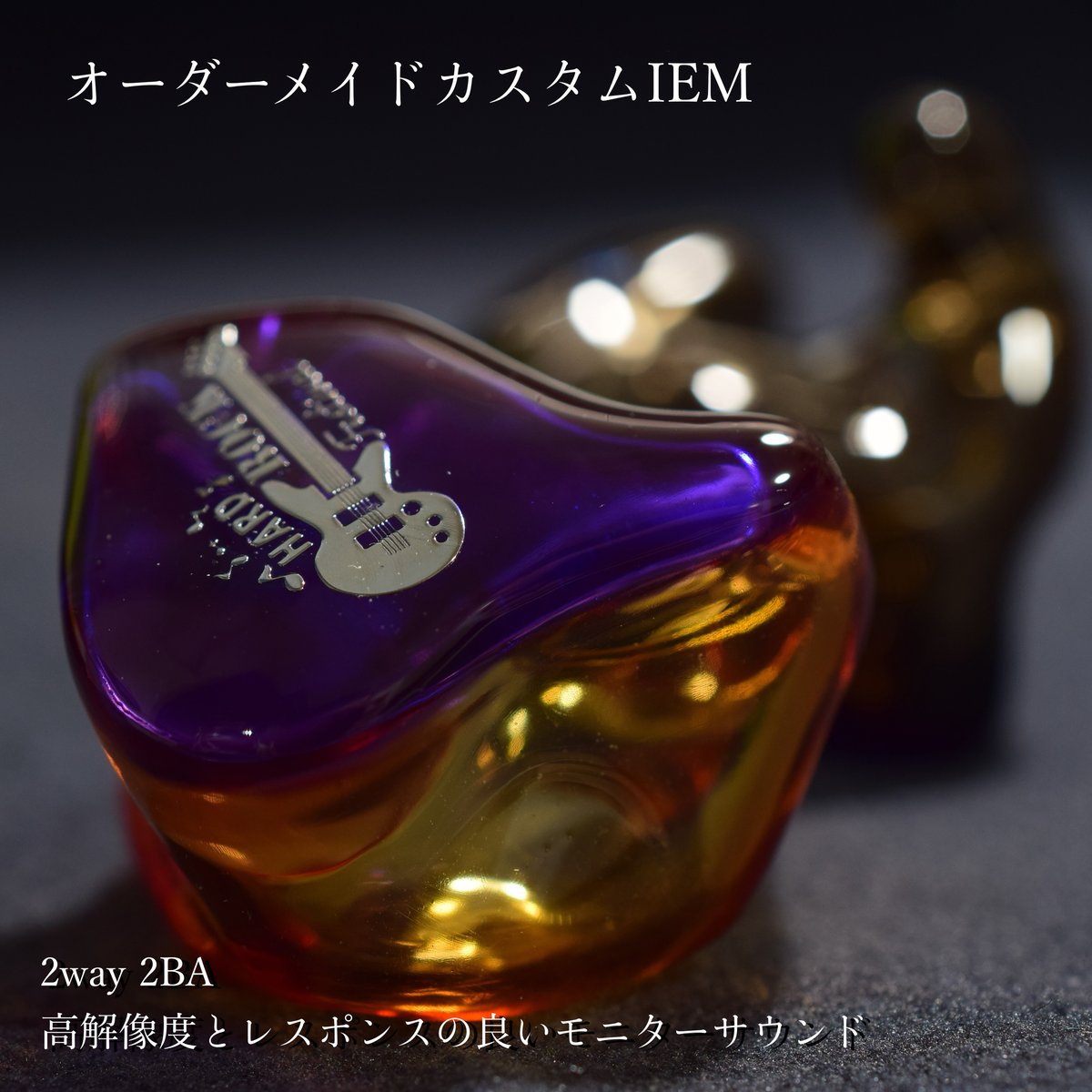 オーダーメイド カスタムiem カスタムイヤホン 2BA | NEWTON SHOP