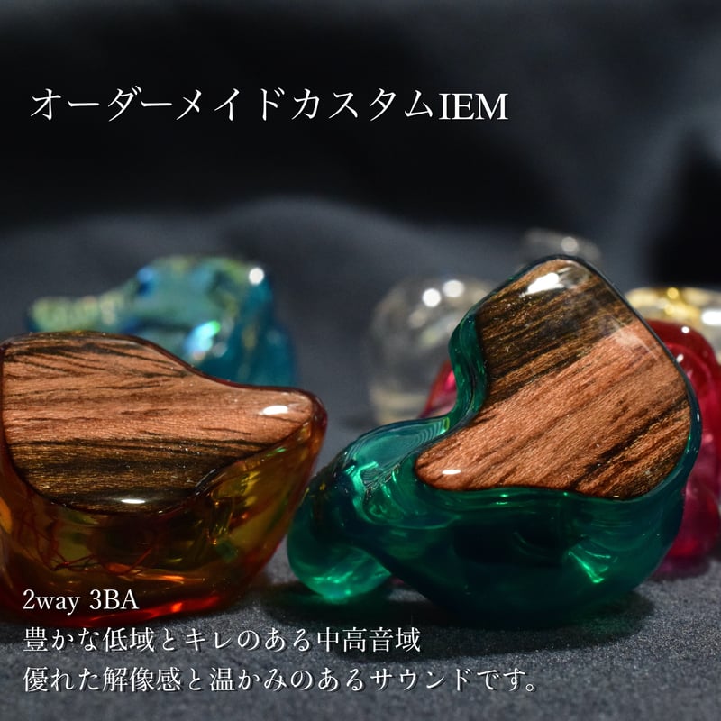 オーダーメイド　カスタムiem カスタムイヤホン　3BA オーダーメイド カスタムiem カスタムイヤホン 3BA | NEWTON STORE