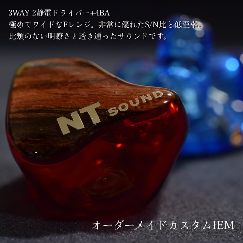ハイエンド オーダーメイド カスタムiem 2ES+4BA | NEWTON SHOP ハイエンド オーダーメイド カスタムiem 2ES+4BA | NEWTON SHOP