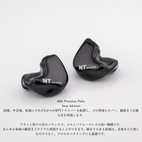 オーダーメイド　カスタムIEM　イヤホン　6BA Precision Pulse