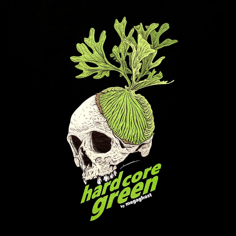 ビカクシダ リドレイ | MEGA GHOST