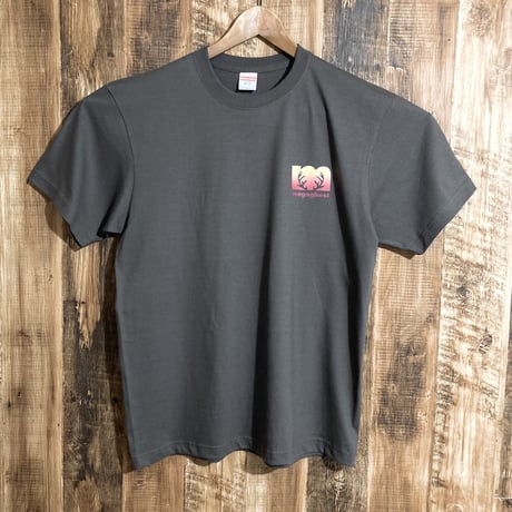 クレステッドゲッコー【3 colors】