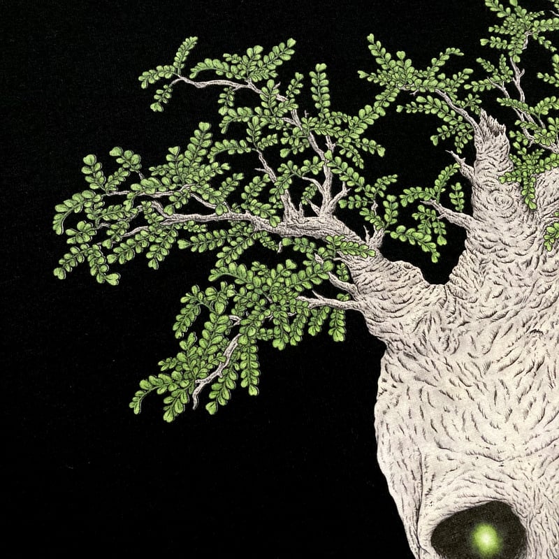 パキプス パキプス | MEGA GHOST