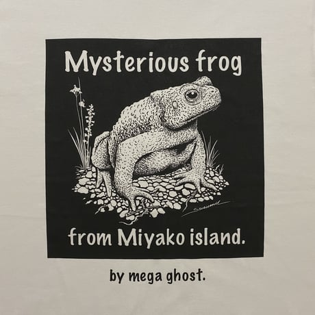 ミヤコヒキガエル