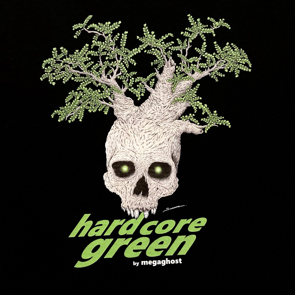 パキプス | MEGA GHOST