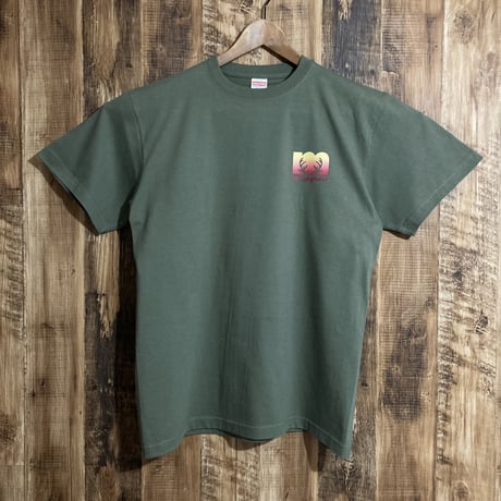 クレステッドゲッコー【3 colors】