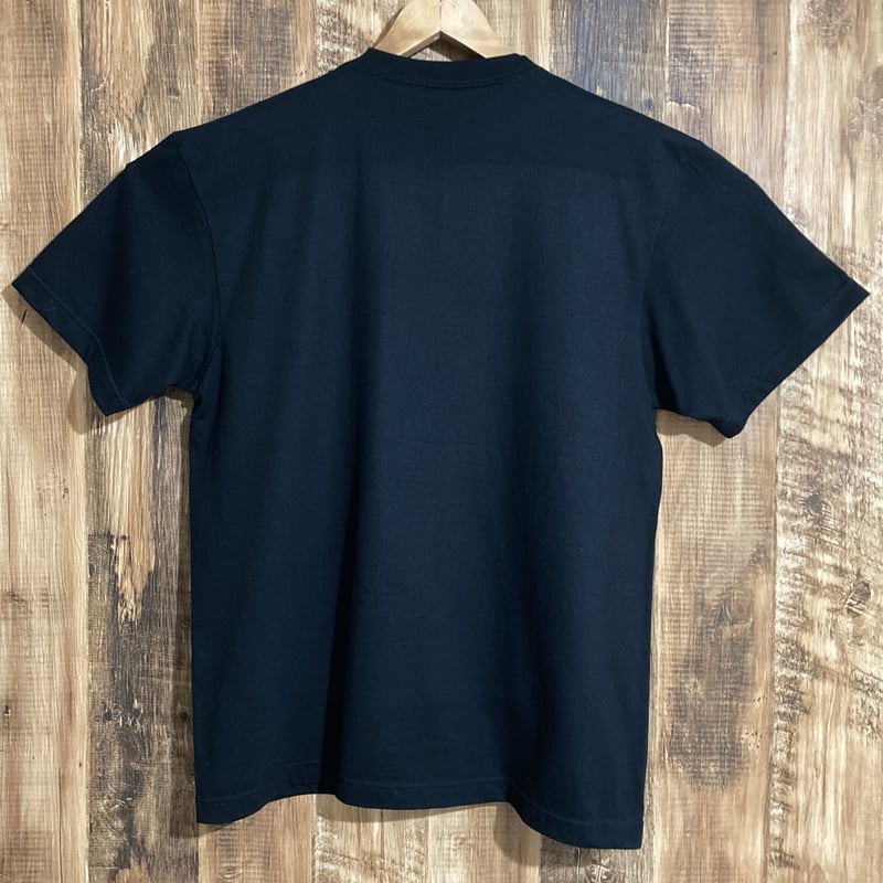 ビカクシダ ritv ビカクシダ リドレイ | MEGA GHOST