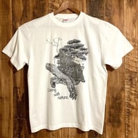 カメハウス
