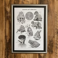 susumu art collection