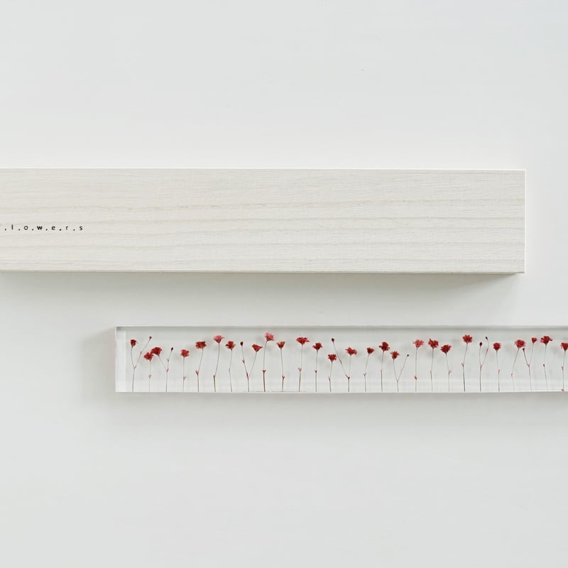 f,l,o,w,e,r,s｜studio note | dot to dot today