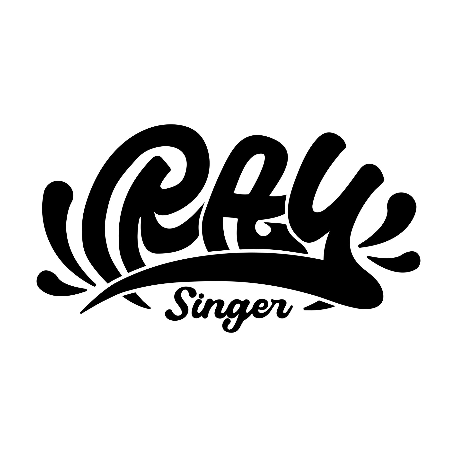 singerRAY STORE