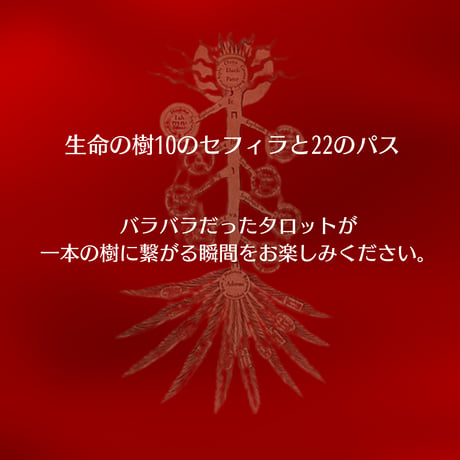 【4/28まで】生命の樹集中講座