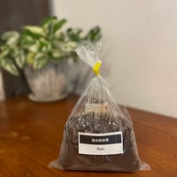 塩谷糀味噌 SUN 500g（ヒカリノシオ使用）