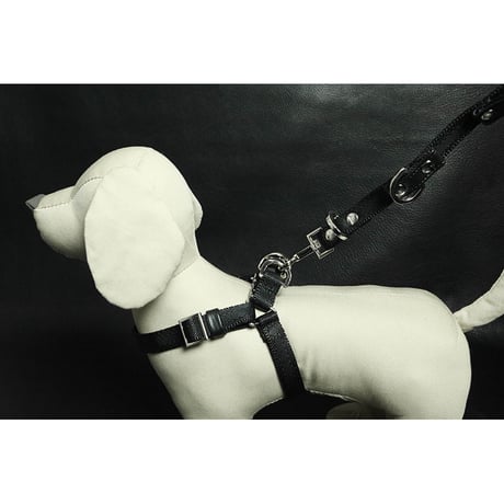 21mm Sheet Woven Nylon Belt Dog Leash