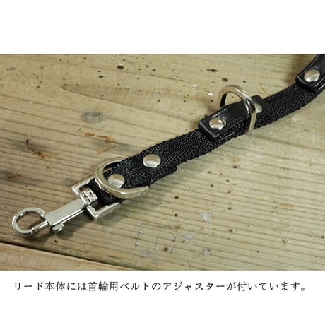 21mm Sheet Woven Nylon Belt Dog Leash