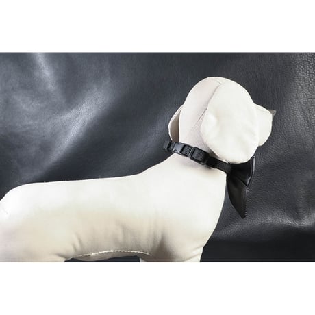 Genuine Leather Ribbon Style Collar
