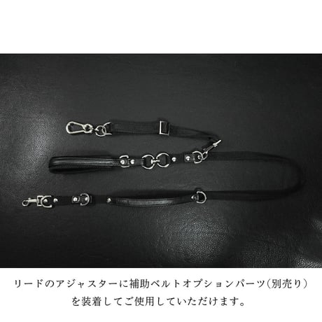 21mm Sheet Woven Nylon Belt Dog Leash